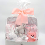 Presentación maleta XL