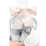 Presentacion Canastilla Maleta Adorables