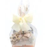 Presentacion Canastilla Maleta Mini Mundo