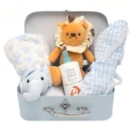 Canastilla Maleta "Hola Bebé"